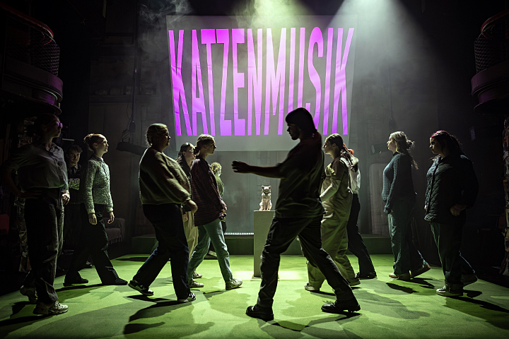 Katzenmusik