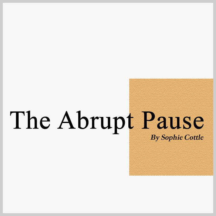 The Abrupt Pause Cover image
